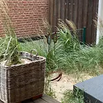 Gasthof Strandhaus Haffkrug *
